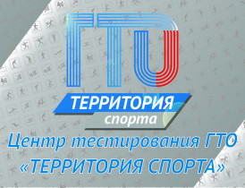 Для выпускников выполнение норм комплекса ГТО..