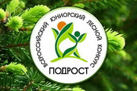 Итоги участия в исследовательской  деятельности.