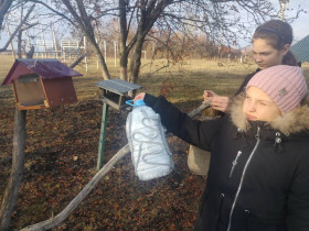 Акция «Поможем зимующим птицам»..