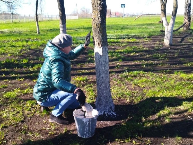 Всероссийский субботник.