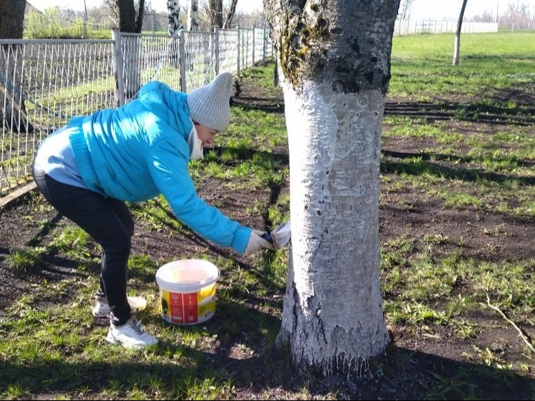 Всероссийский субботник.